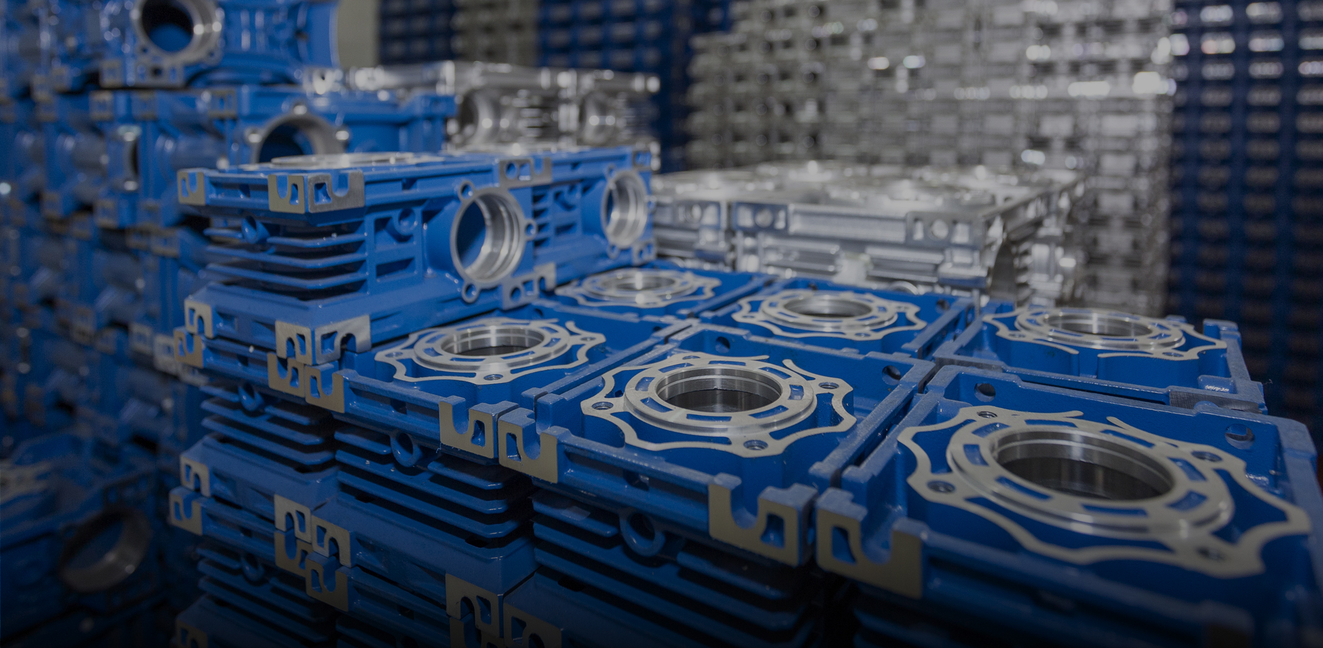 Produttore professionale di riduttori a vite senza fine